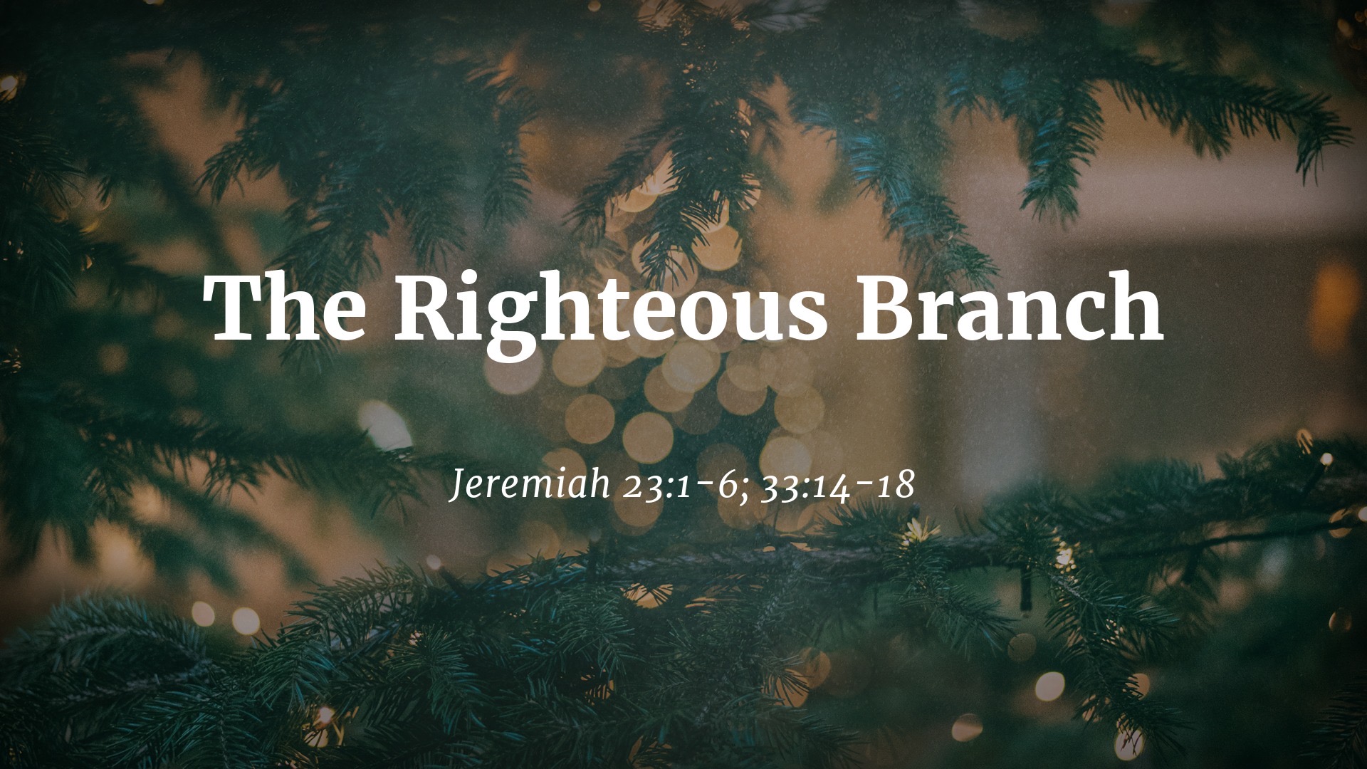 Righteous Branch